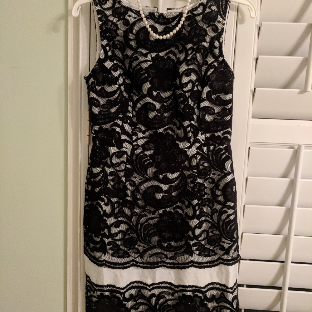 NWT The Limited Black lace dress with white trim